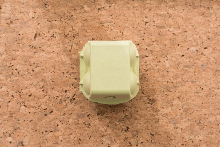 Packaging biodegradabile: quali materiali utilizzare per diminuire l’impatto sull’ambiente