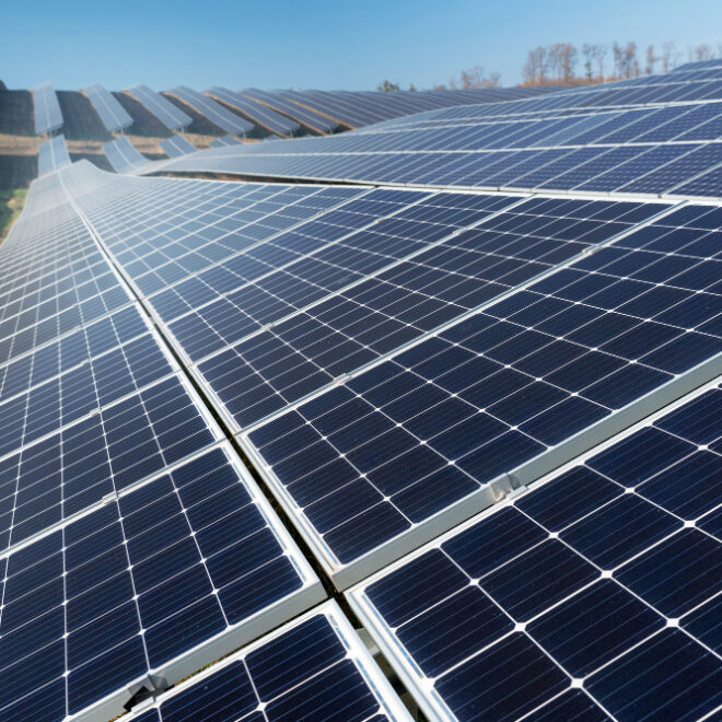Differenze tra fotovoltaico e agrovoltaico