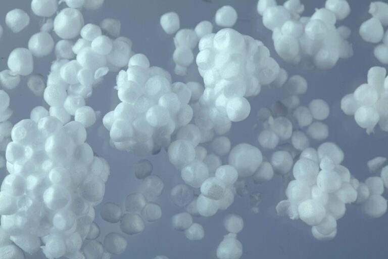 Dove si butta il polistirolo: la guida al corretto smaltimento