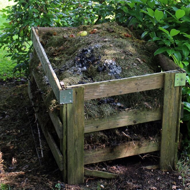 Guida pratica al compostaggio: come trasformare gli scarti in risorsa