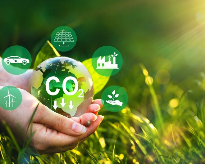 Decarbonizzazione e fonti rinnovabili: guida alla trasformazione energetica