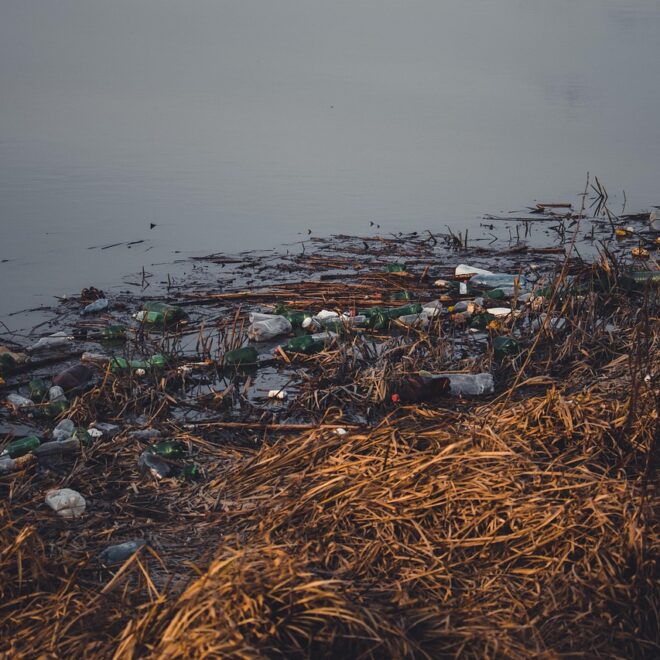 Un Pianeta in affanno tra problemi ambientali e fragilità locale