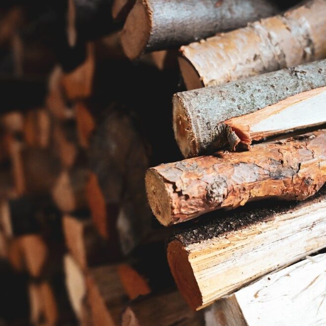 Generatori di corrente a legna: l’autonomia energetica dal cuore del legno