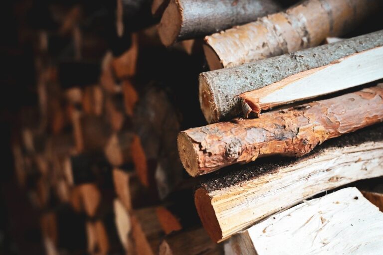 Generatori di corrente a legna: l’autonomia energetica dal cuore del legno